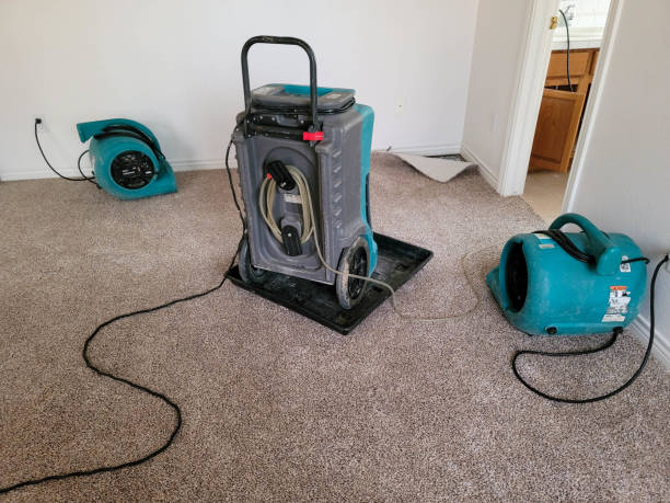 Best Sewage cleanup and water damage restoration  in Hallam, PA