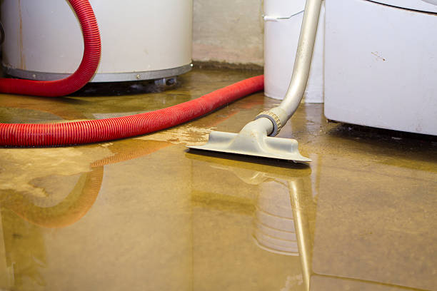 Carpet water damage restoration in Hallam, PA