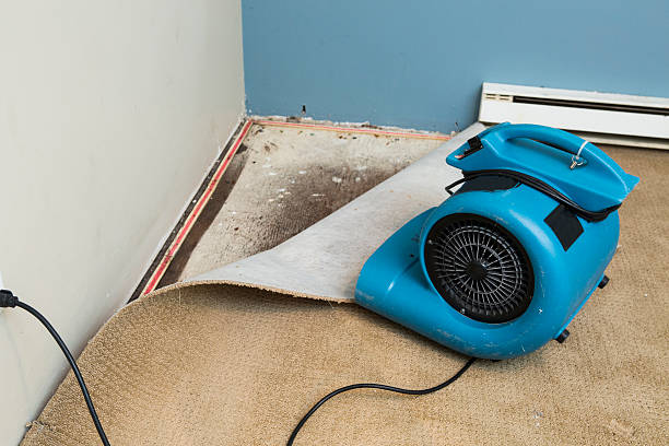 Best Water damage restoration experts  in Hallam, PA